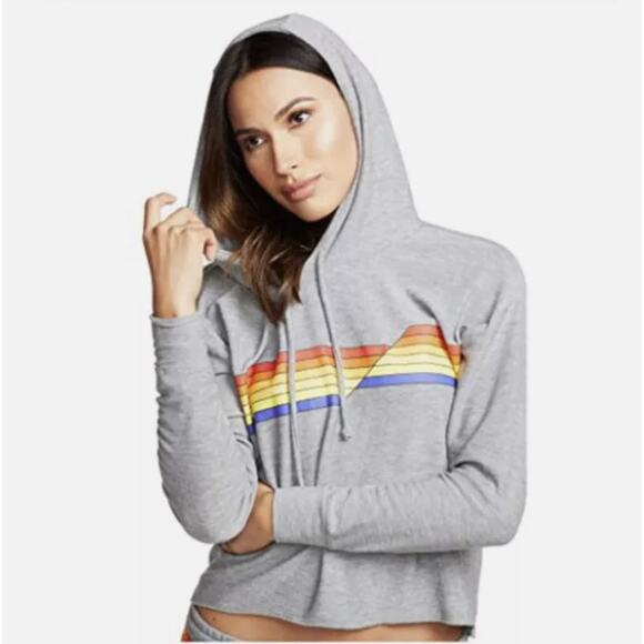Chaser Gray Rainbow Stripe Cropped Pullover Hoodie - Medium - Picture 9 of 9